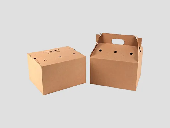 cardboard box with handle