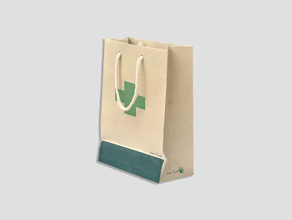 Paper Pharmacy Bag