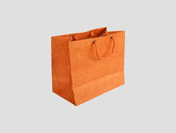 Custom Paper Shopping Bag